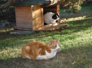 Rubi Bild von Rubi