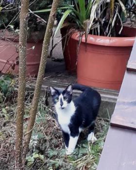 Haruki Bild von Haruki