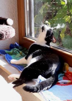 Haruki Bild von Haruki