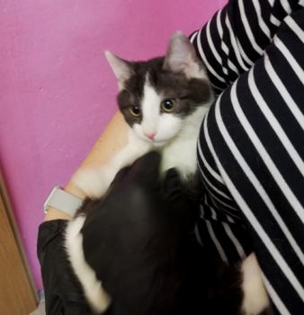 Sam Bild von Sam