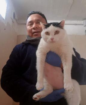 Smudge Bild von Smudge