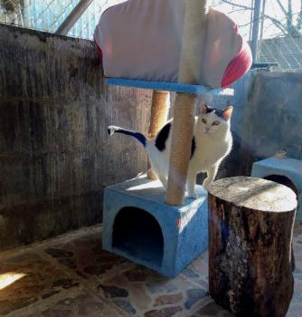 Smudge Bild von Smudge