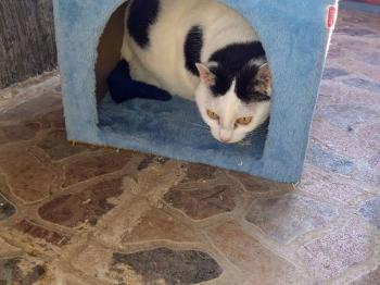 Smudge Bild von Smudge