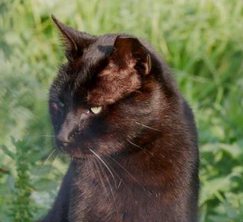 Camillo Bild von Camillo
