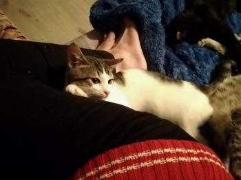 Puki Bild von Puki