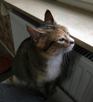 Margaret Bild von Margaret