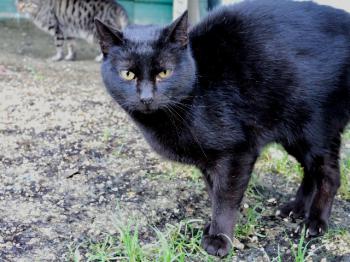 Freddy Bild von Freddy