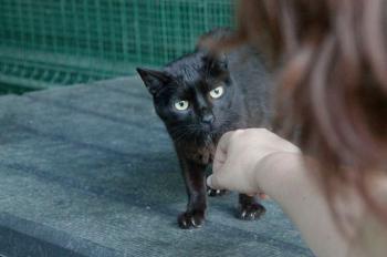 Simon Bild von Simon