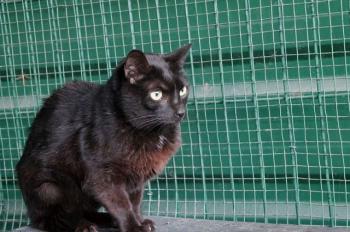 Simon Bild von Simon