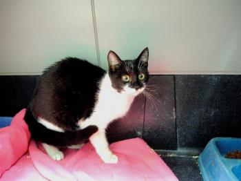 Hilda Bild von Hilda