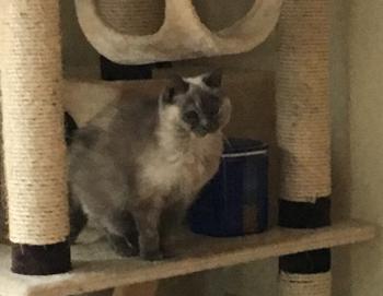 Bella Bild von Bella