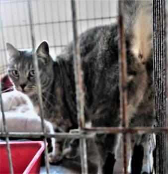 Rosita Bild von Rosita
