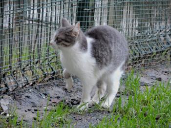 Abigail Bild von Abigail