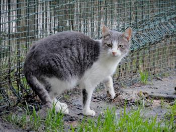 Abigail Bild von Abigail
