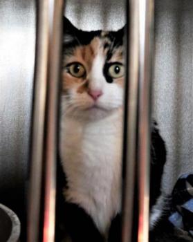 Bild von Geraldine