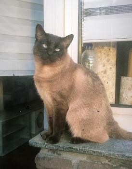 Bijou Bild von Bijou
