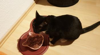 Auxi Bild von Auxi