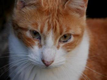 Charly Bild von Charly