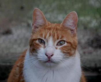 Charly Bild von Charly