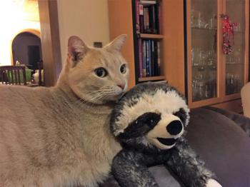 Phan Bild von Phan