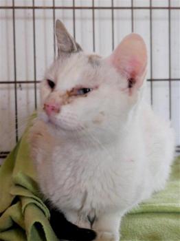 Desirée Bild von Desirée