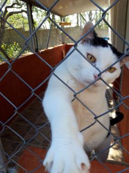 Smudge Bild von Smudge