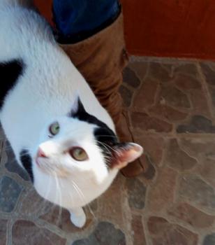 Smudge Bild von Smudge