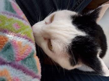 Smudge Bild von Smudge