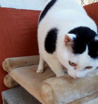 Smudge Bild von Smudge