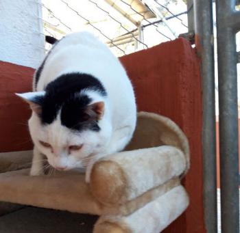 Smudge Bild von Smudge