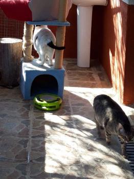 Smudge Bild von Smudge