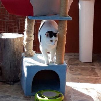 Smudge Bild von Smudge