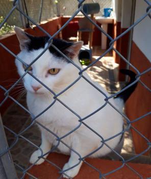 Smudge Bild von Smudge