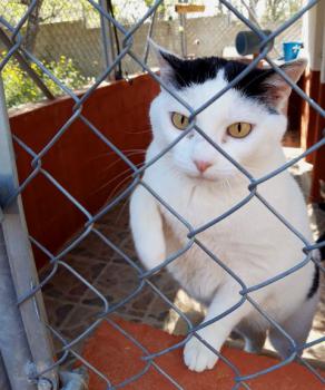 Smudge Bild von Smudge