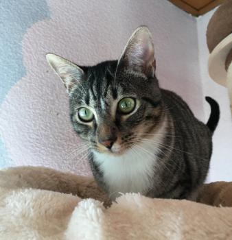 Kira Bild von Kira