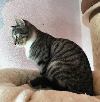 Kira Bild von Kira