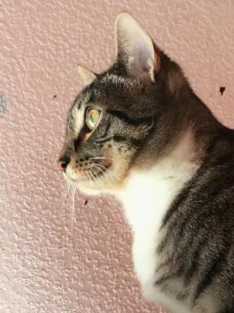 Kira Bild von Kira