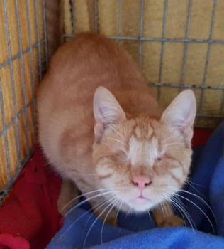 Bubu Bild von Bubu