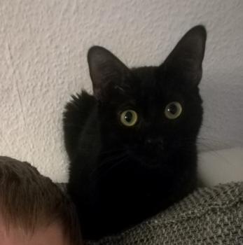 Nuka Bild von Nuka