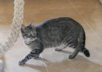 Miika Bild von Miika
