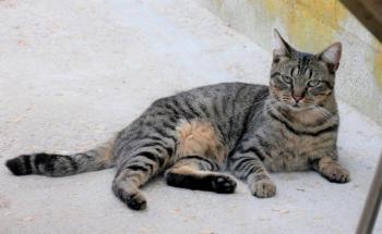 Miika Bild von Miika