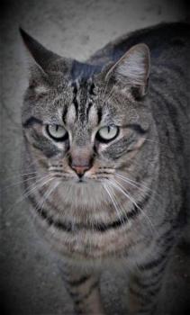Miika Bild von Miika
