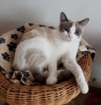 Perla Bild von Perla