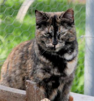 Tabita Bild von Tabita