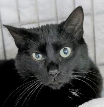 Melchior Bild von Melchior