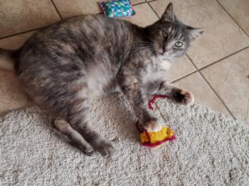Rosita Bild von Rosita