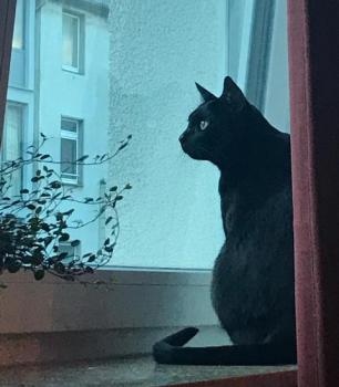 Njuki Bild von Njuki