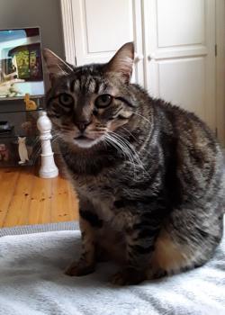 Starbuck Bild von Starbuck