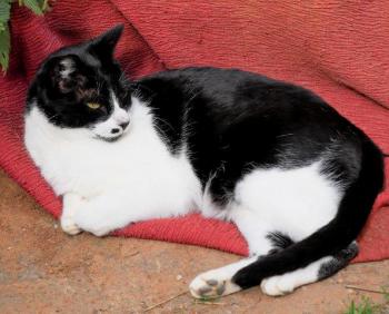 Bascha Bild von Bascha