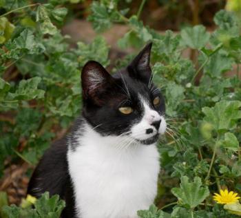Bascha Bild von Bascha